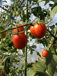 image-20111231234144.png