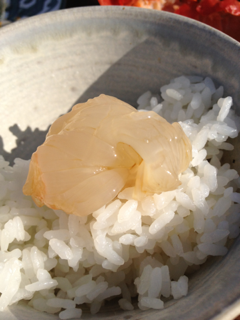 image-20111231234512.png