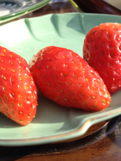 image-20111231234544.png