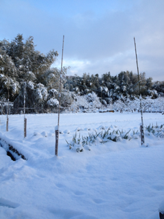 image-20120204223722.png